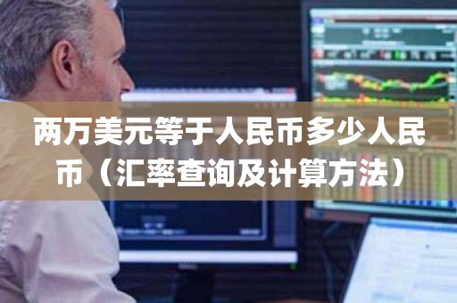 两万美元等于人民币多少人民币（汇率查询及计算方法）